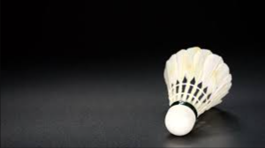 image of badminton #29