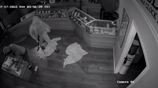 image of burglary #9