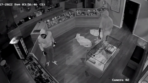 image of burglary #11