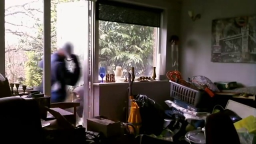 image of burglary #1