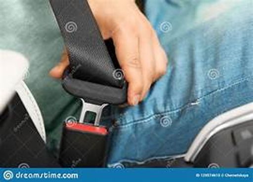 image of seatbelt_images #10