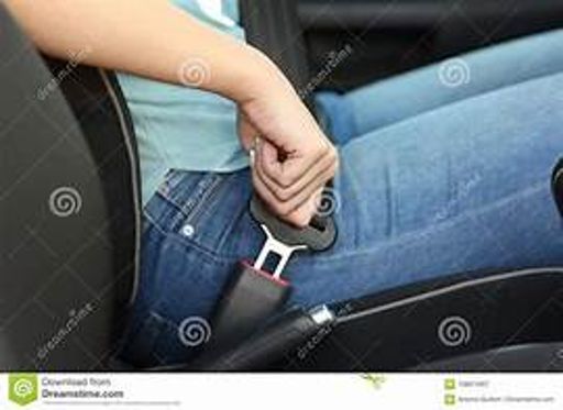 image of seatbelt_images #12