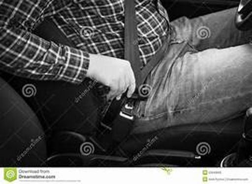 image of seatbelt_images #23