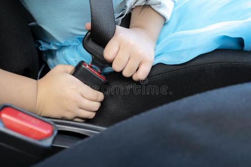 image of seatbelt_images #26