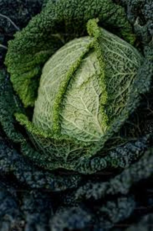 image of damage_to_cabbage_leaves #12