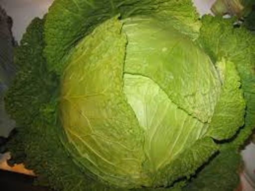 image of damage_to_cabbage_leaves #14