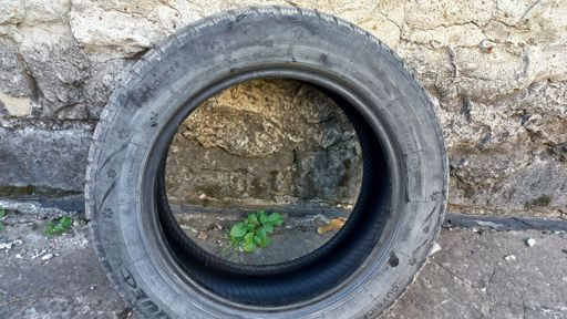 image of only_tyres_not_rim #11