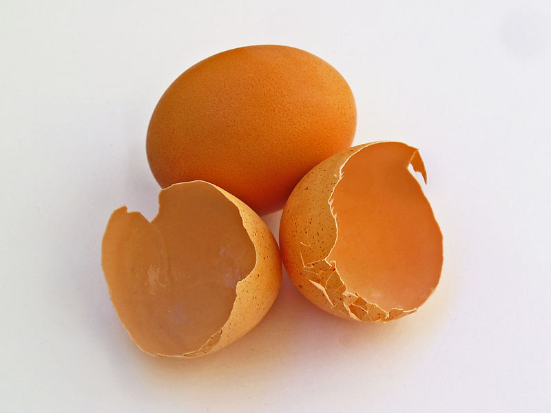 image of eggshell #0