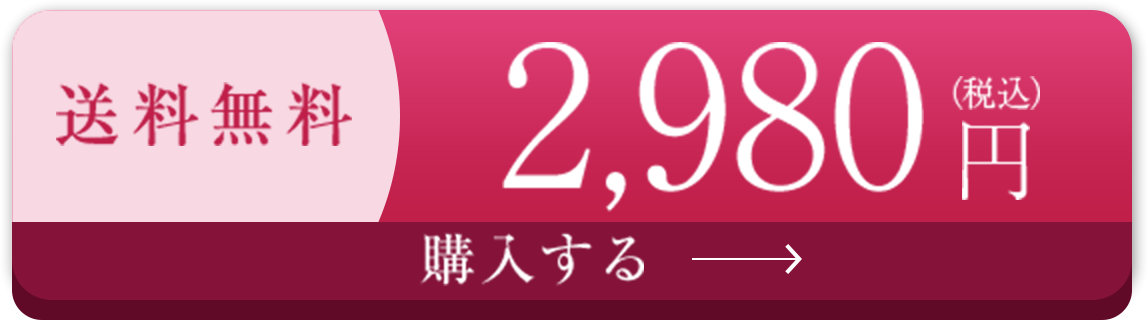 初回限定 送料無料 2,980円（税込） 購入する