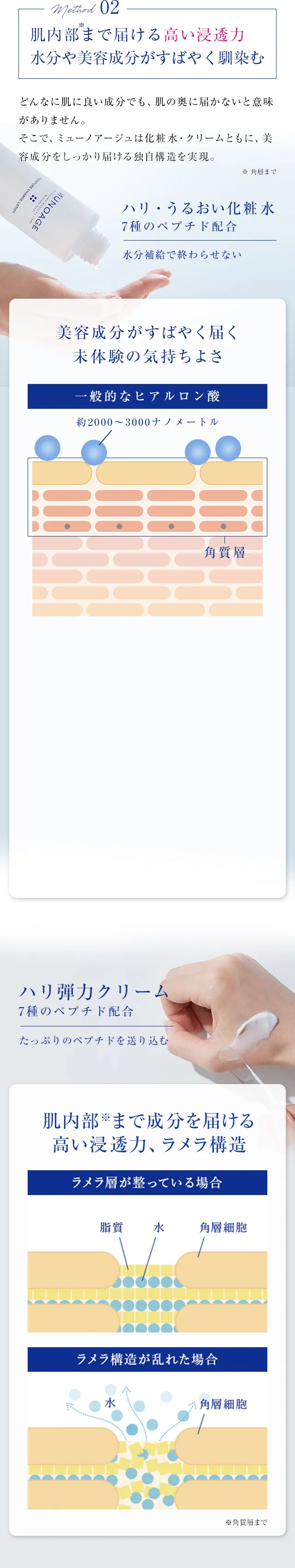 method02 肌内部※まで届ける高い浸透力