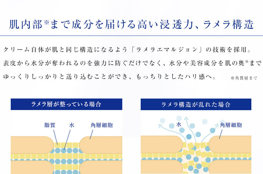 肌内部まで成分を届ける高い浸透力、ラメラ構造