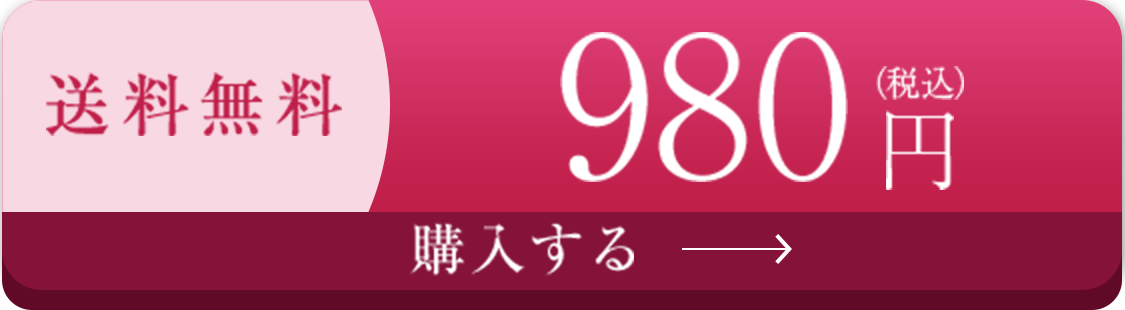 初回限定 送料無料 980円（税込） 購入する