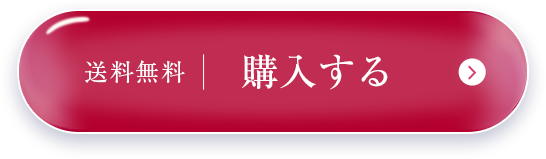 送料無料 購入する