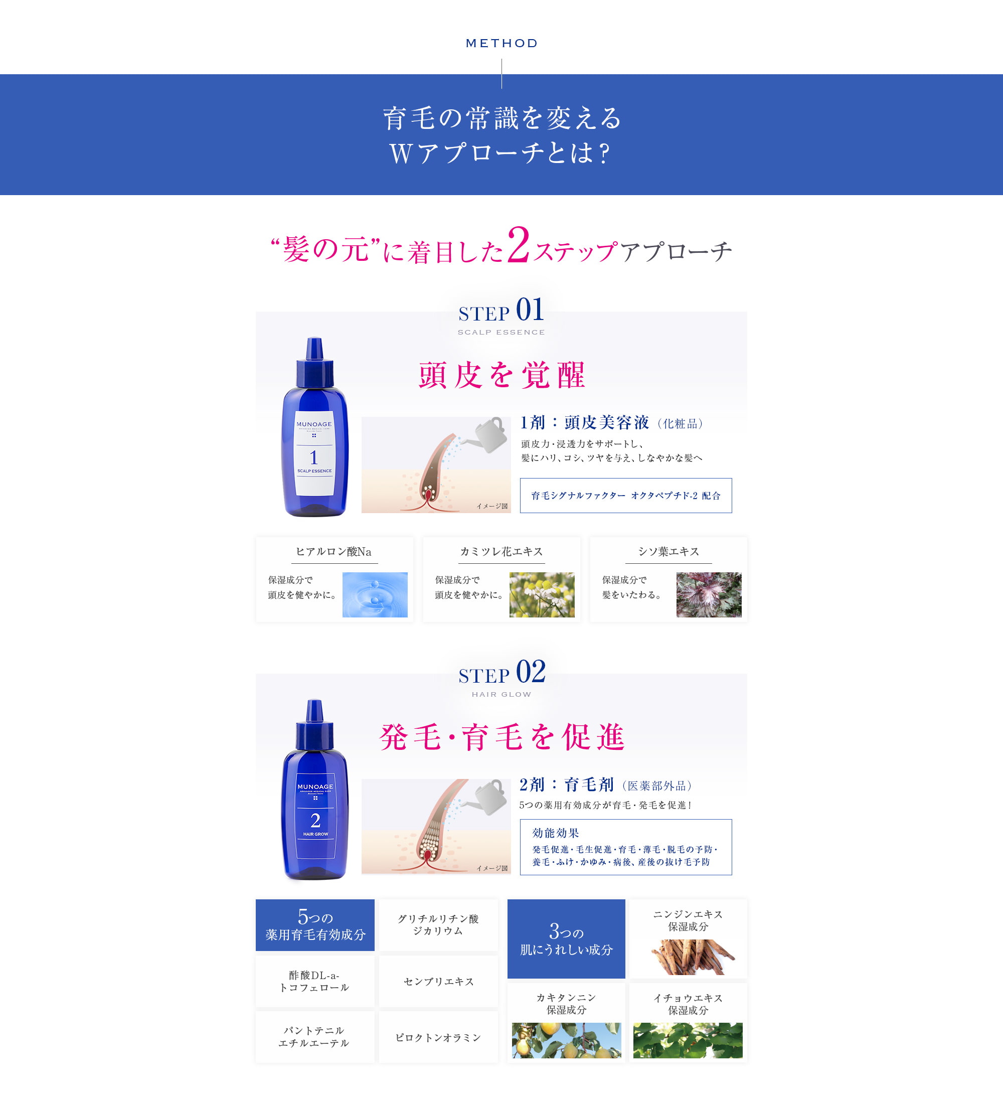 育毛の常識を変えるWアプローチとは？