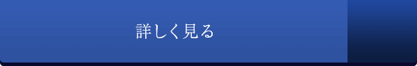 詳しく見る