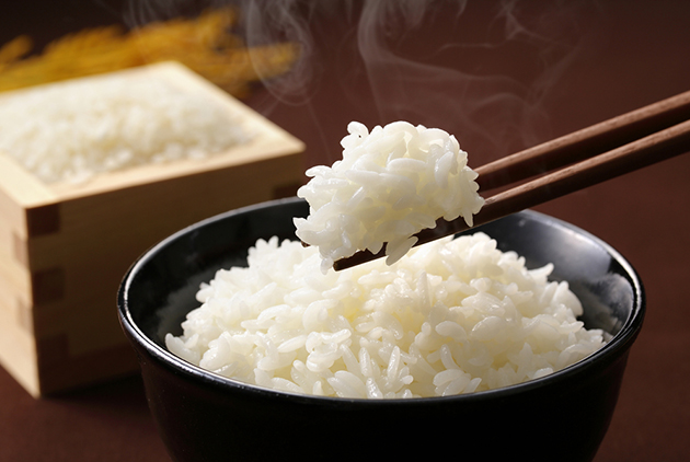 【低碳生活部落格】百年米廠也變「綠」！來自後山的傳產節能標竿