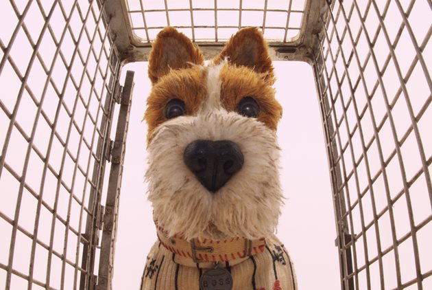 《犬之島》:當個狗奴,也能翻轉世界