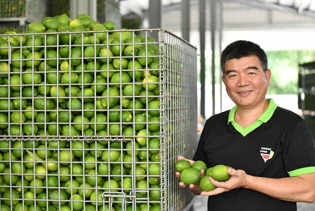 Finding the Sweet Spot in Pingtung’s Lemons