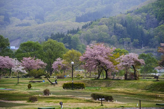 來去日本鄉下住一晚 農家爺爺奶奶 也能是觀光救星 天下雜誌