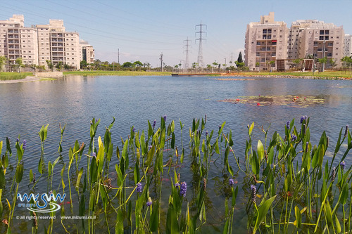 Project example logo