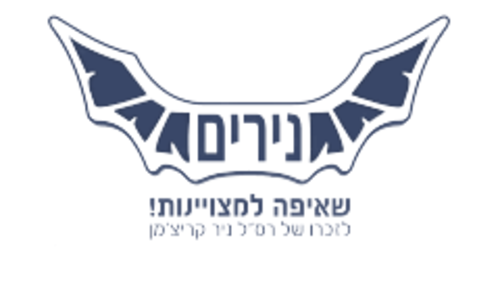 Project example logo