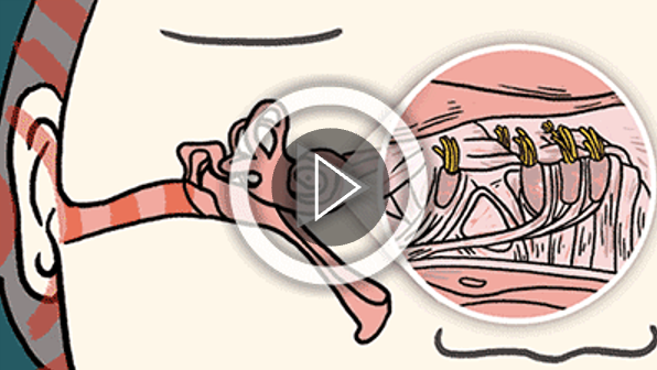 Ear Switch Discovery Illustration