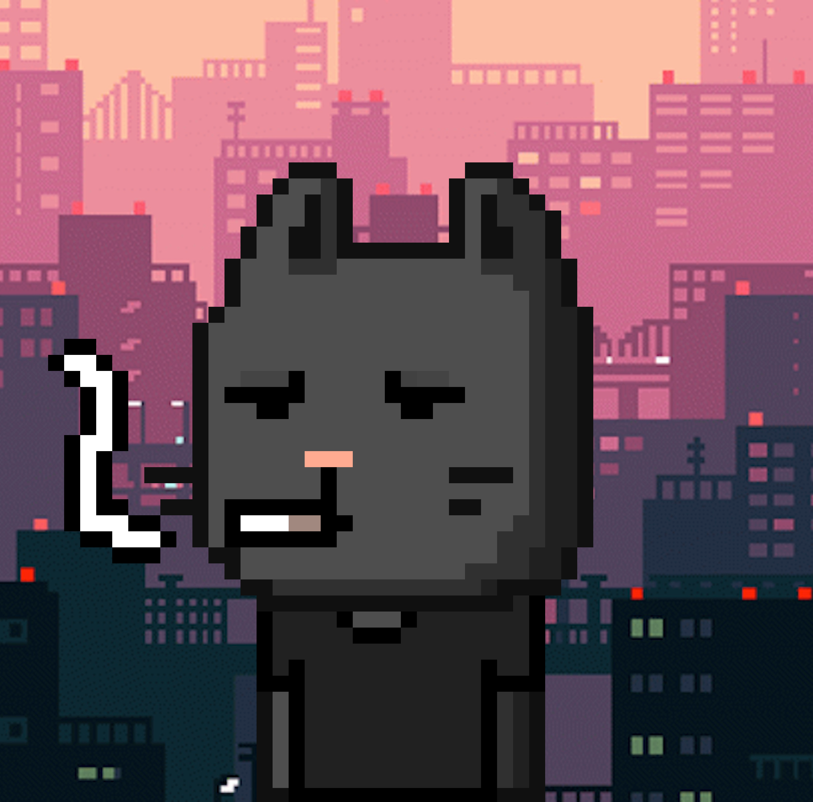 CityRabbit# 14