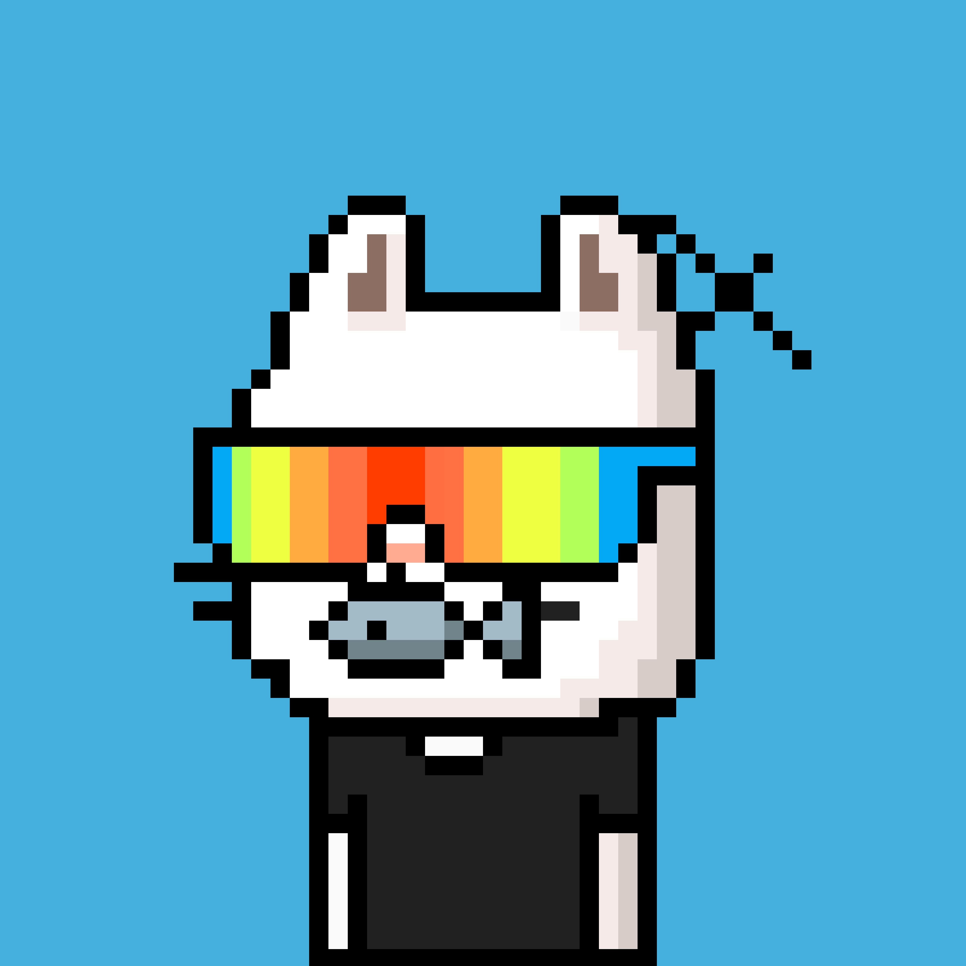 CityRabbit# 239