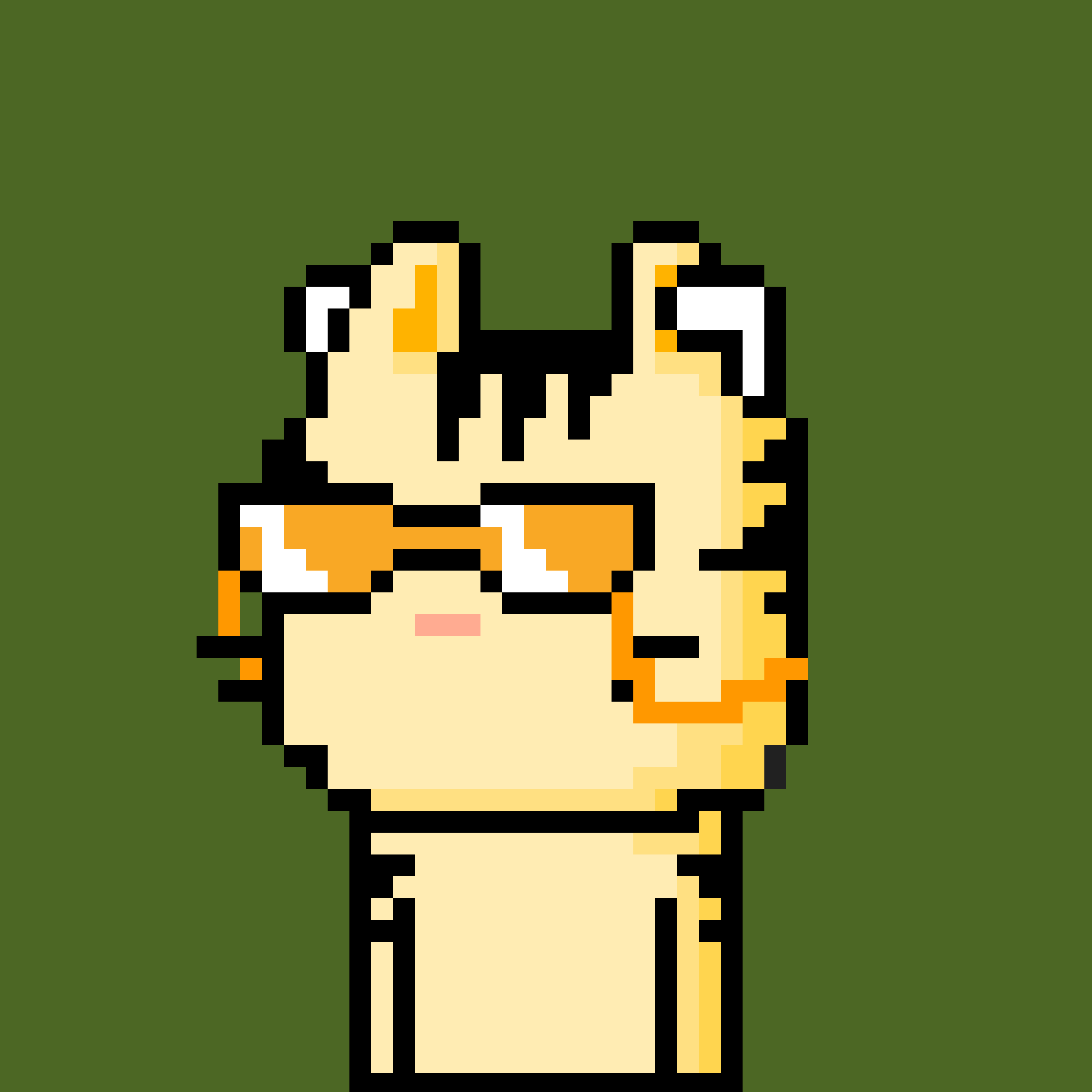 CityRabbit# 354