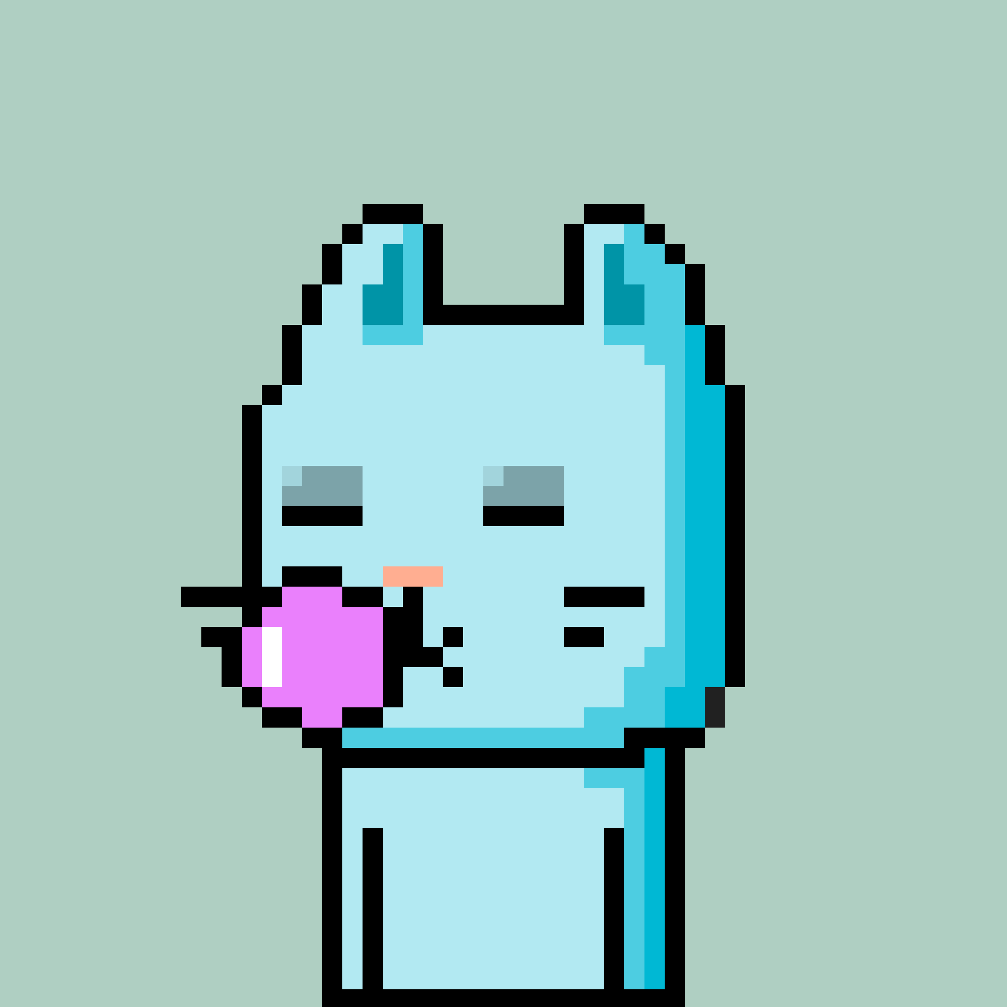 CityRabbit# 4321