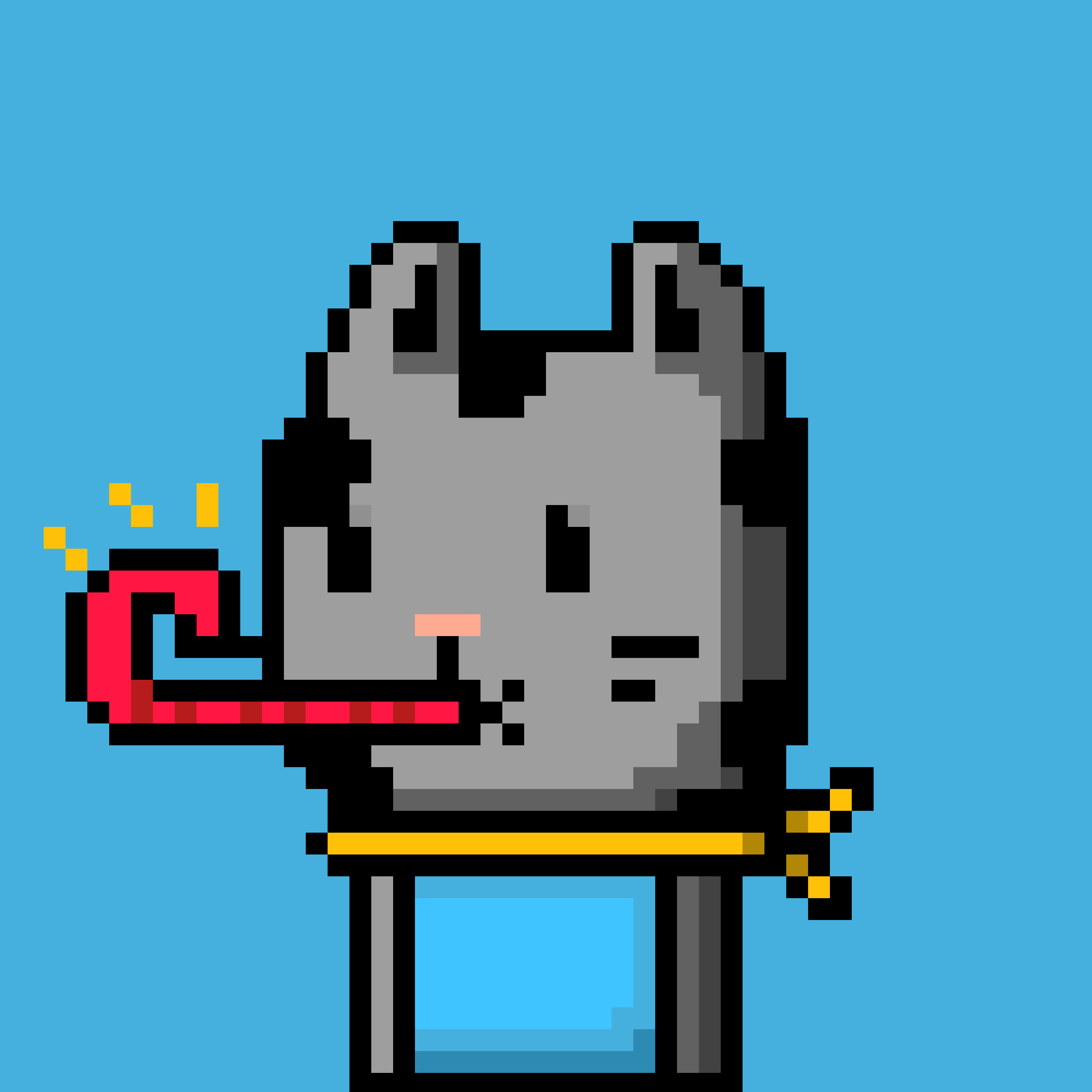 CityRabbit# 4939