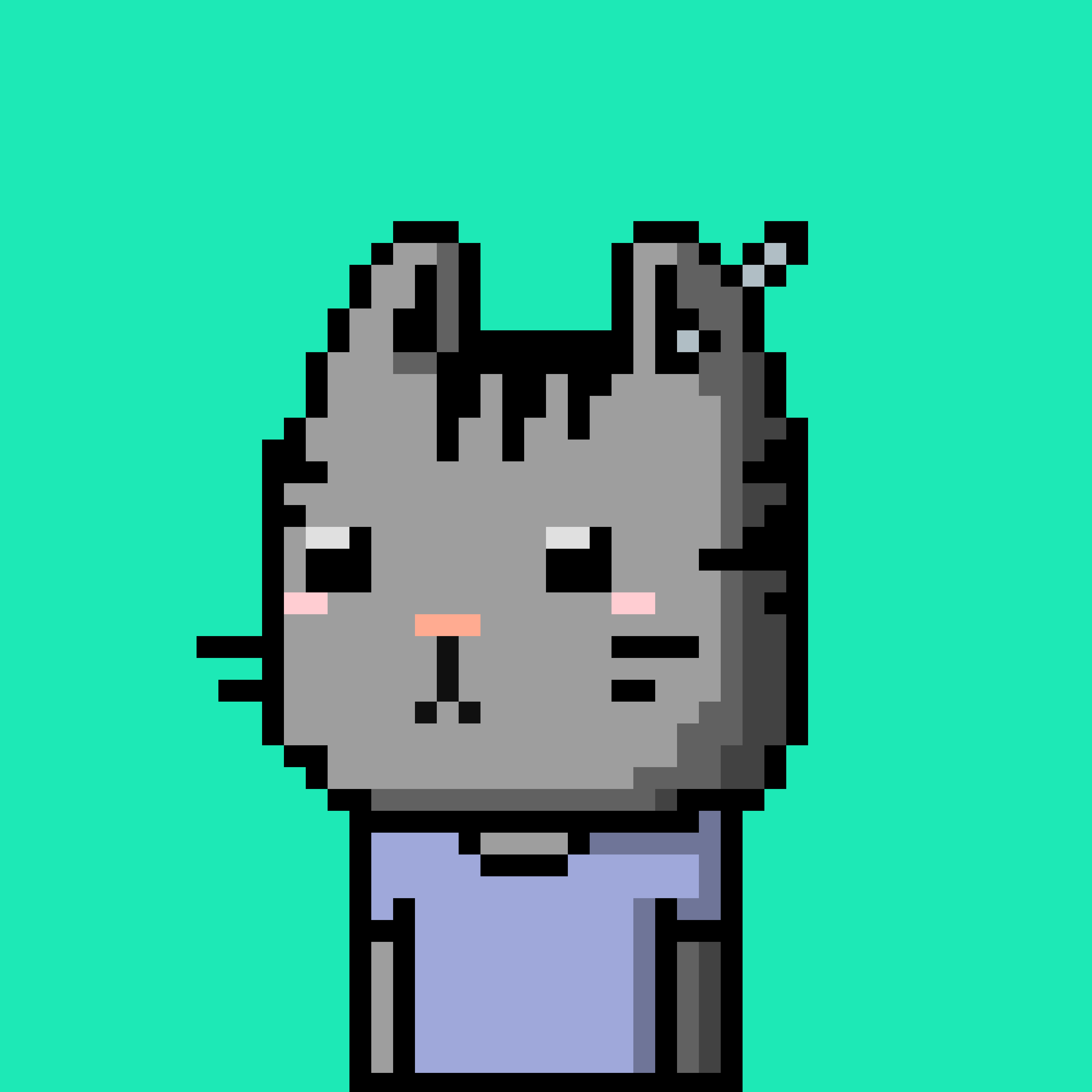 CityRabbit# 5101