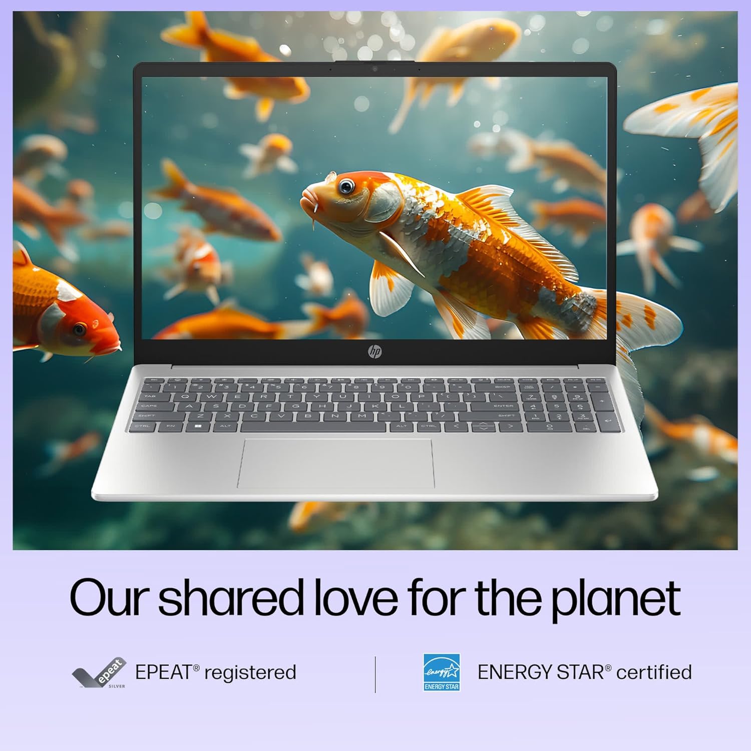 HP 15-fd0129TU Intel Core i3-1315U 16-Inches Notebook Laptop (8GB/512GB SSD/Windows 11/Silver/1.59 Kg)
