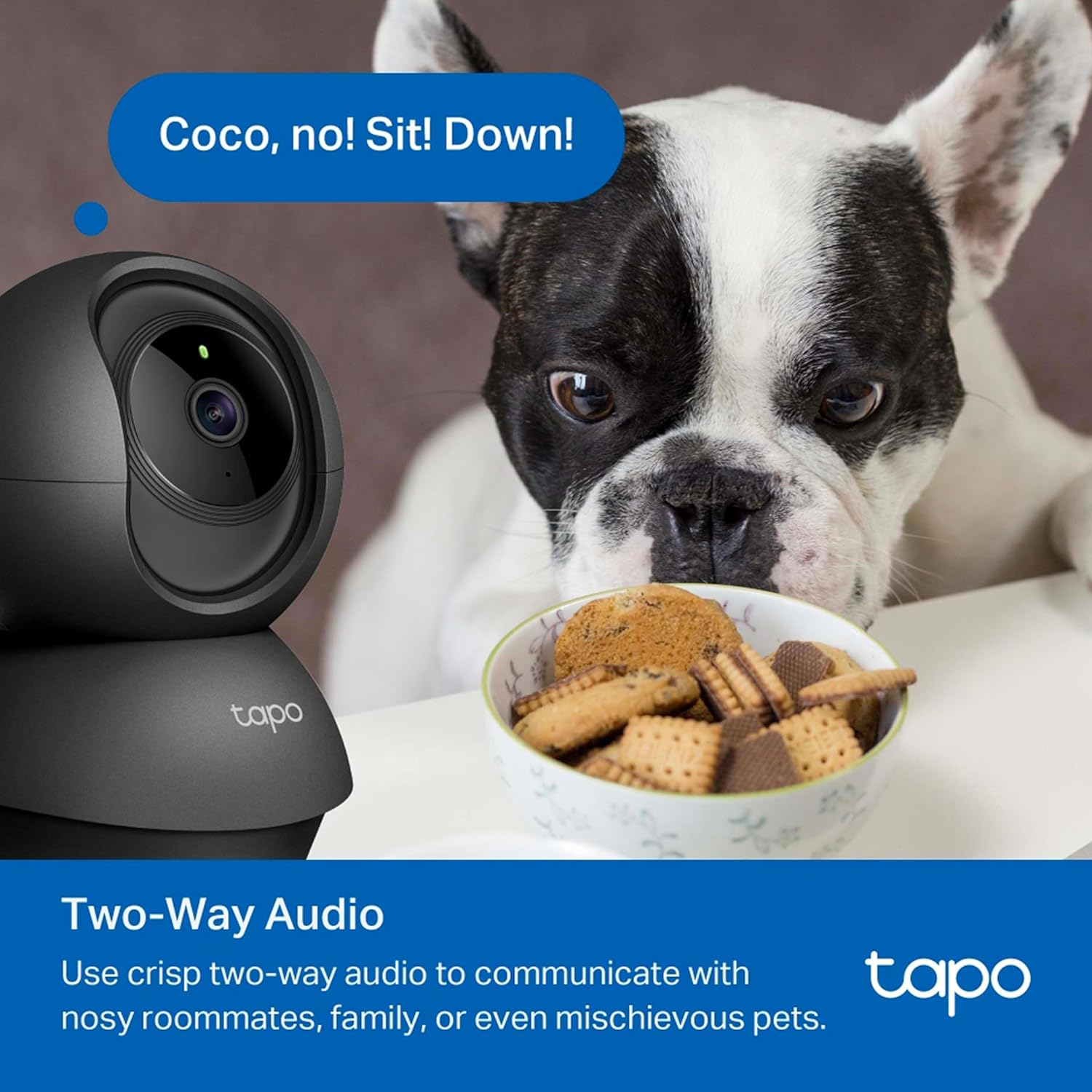 TP-Link Tapo C201 2MP 1080p Full HD Pan/Tilt Home Security Wi-Fi Smart Camera, Alexa Enabled, 2-Way Audio,  Night Vision, Motion Detection, Sound and Light Alarm- Black