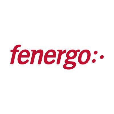 Fenergo logo