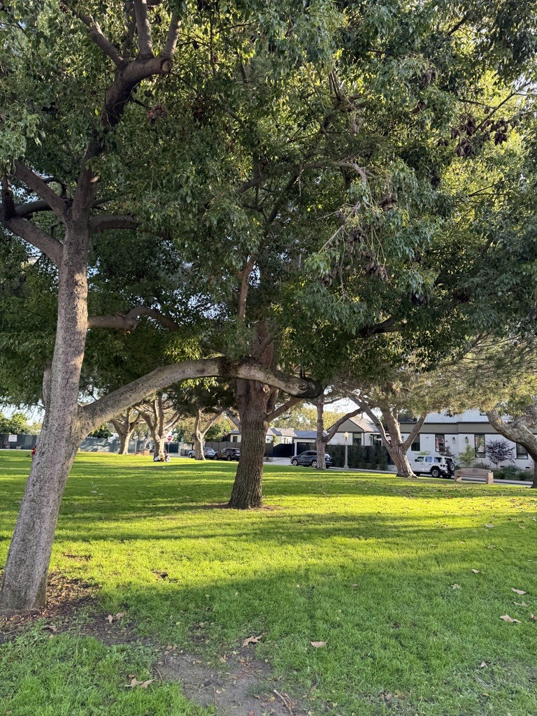 Culver City Parks Tour