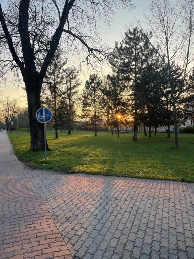 Trnava