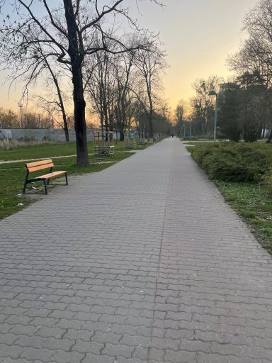 Trnava