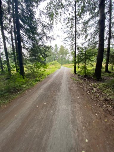 Kamenný rybník - Matějovský rybník