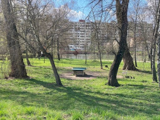 Cesta sv. Alžbety