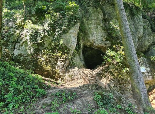 Rozcestník u Zamarovských Jamách - Opatovská jezkyně