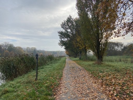 Kostelec nad Labem - Brandýs nad Labem