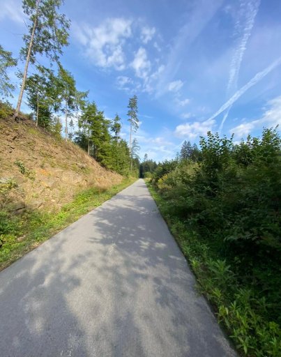 Podél řeky Sázavy