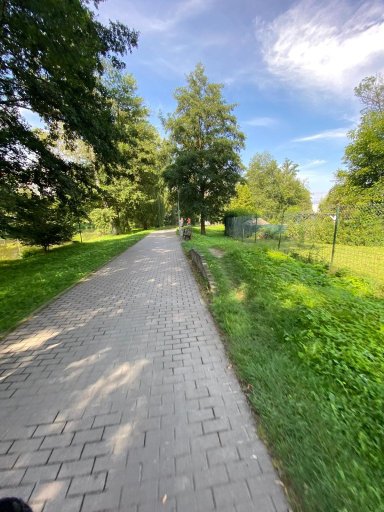Podél řeky Sázavy v Havlíčkově Brodě