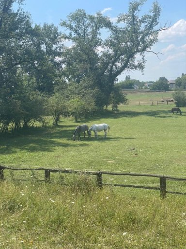 Piešťany - Horná Streda