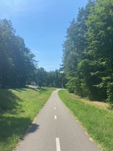 Pláž Písák u Týniště nad Orlicí