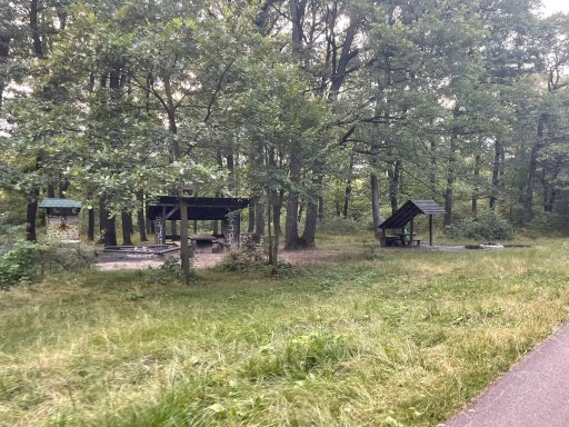Lesopark Furča - Zelený dvor