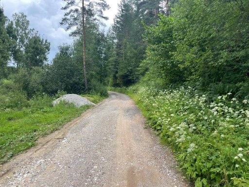 Harichovce - Rozhledna Medvedí vrch