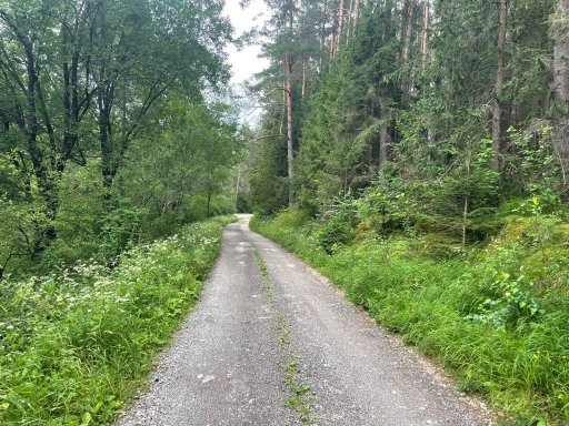 Harichovce - Rozhledna Medvedí vrch