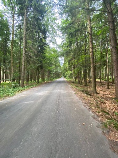 Krucemburk - Račín